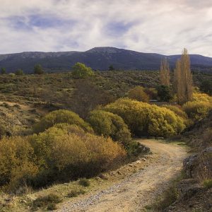 Reserva de la Biosfera Segovia, España, Qué ver en el Real Sitio de La Granja de San Ildefonso.