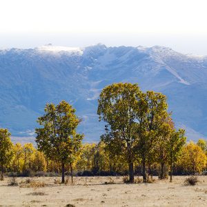 Reserva de la Biosfera Segovia, España, Qué ver en el Real Sitio de La Granja de San Ildefonso.