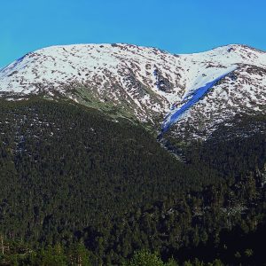 Reserva de la Biosfera Segovia, España, Qué ver en el Real Sitio de La Granja de San Ildefonso.