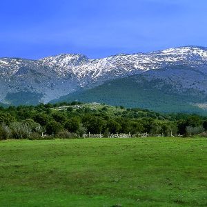 Reserva de la Biosfera Segovia, España, Qué ver en el Real Sitio de La Granja de San Ildefonso.