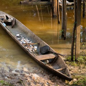 Qué ver en la Amazonia de perú