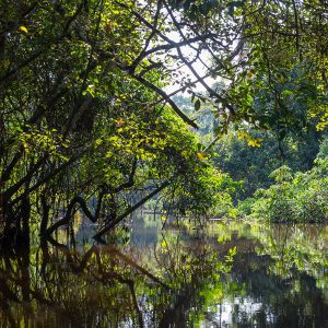 Reservas de la Biosfera del Mundo