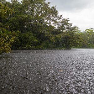 En perú hay reservas de la biosfera