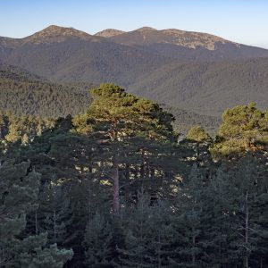 Reserva de la Biosfera Segovia, España, Qué ver en el Real Sitio de La Granja de San Ildefonso.