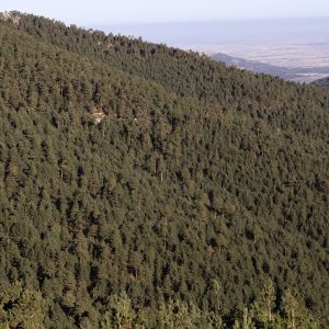 Reserva de la Biosfera Segovia, España, Qué ver en el Real Sitio de La Granja de San Ildefonso.