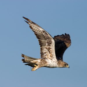 Reservas de la Biosfera en Navarra, Qué ver en Navarra, rutas España, ecoturismo