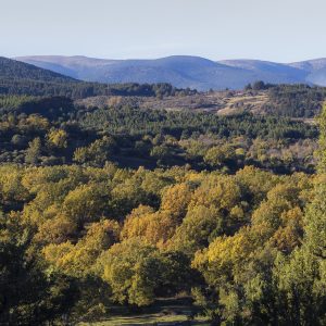 Reserva de la Biosfera Segovia, España, Qué ver en el Real Sitio de La Granja de San Ildefonso.