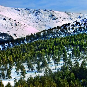 Reserva de la Biosfera Segovia, España, Qué ver en el Real Sitio de La Granja de San Ildefonso.