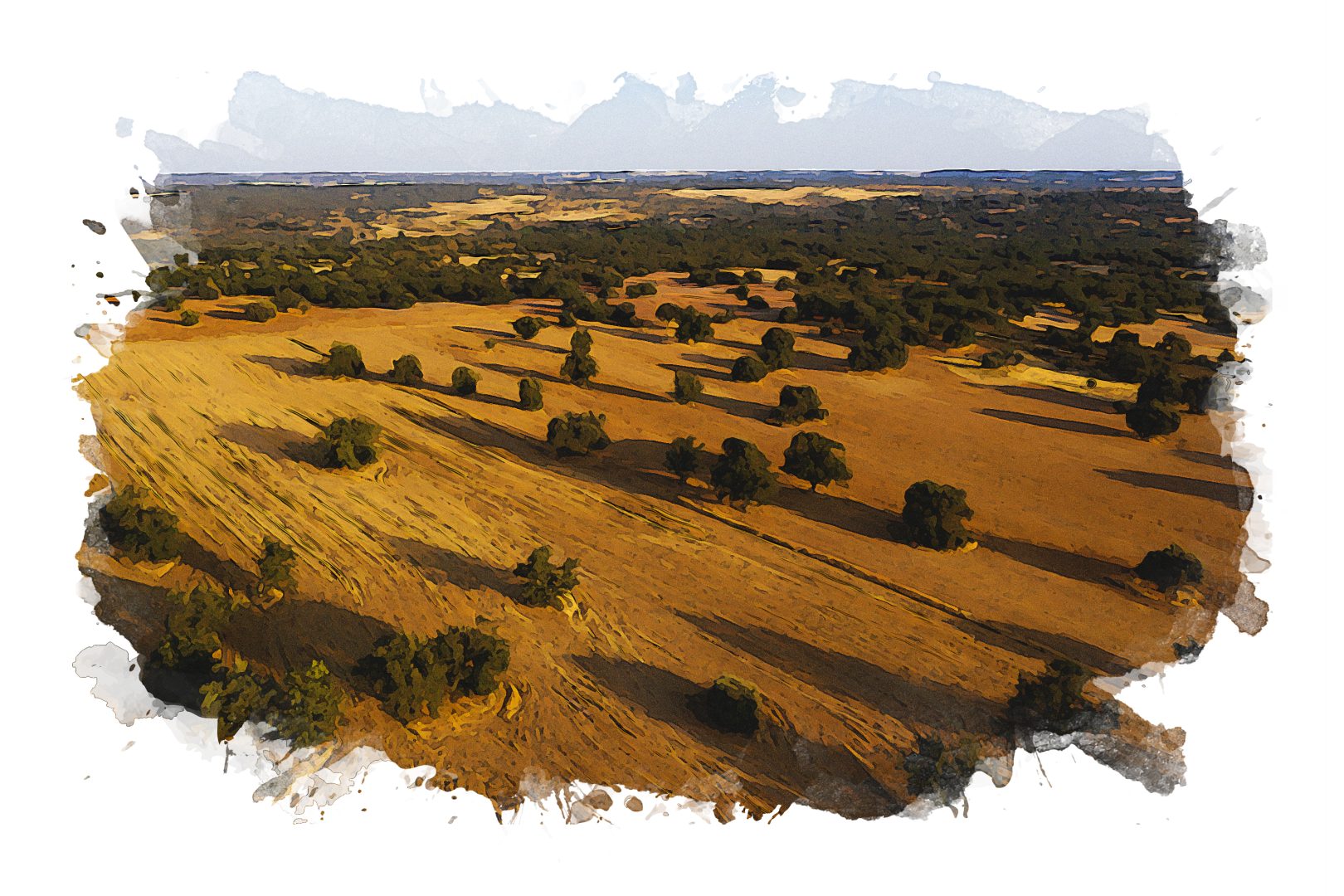 reserva de la biosfera España, reservas de la biosfera Castilla y León, Unesco