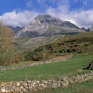 ¿Hay reserva de la biosfera en Castilla y León?